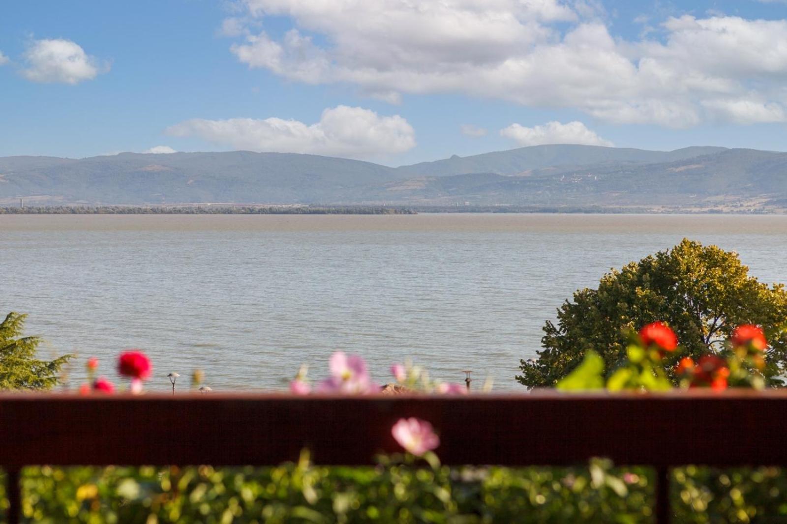 Apartment Amore Mio Golubac Exteriér fotografie